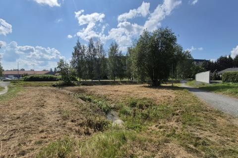 Mesopotamian puisto aurinkoisena kesäpäivänä.