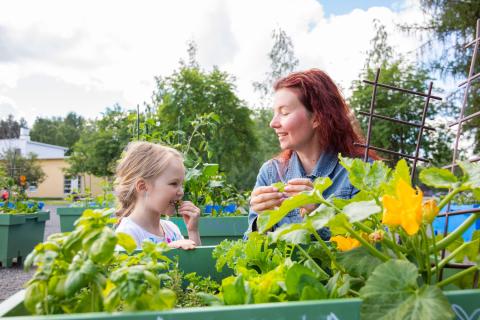 Nainen ja nuori tyttö maistelemassa hyötypuutarhan antia.