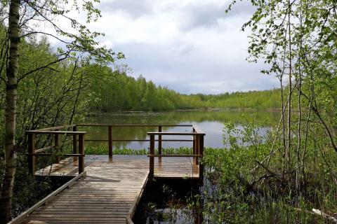 Puinen katselulaituri Vähäjärven rannalla.