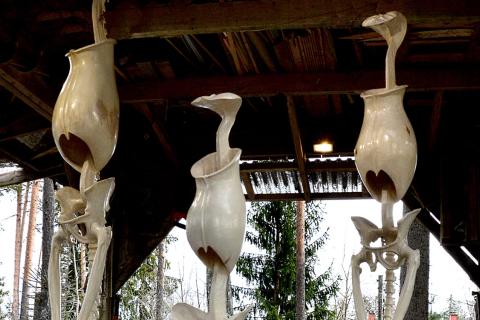 Osa kolmesta veistoksesta, jotka muistuttavat sekä kasvia että luurankoa. 