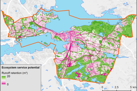 Map of the ecosystem's runoff water retention capacity.