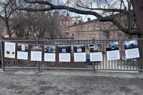 Nine photograph board panels suspended from a rope.
